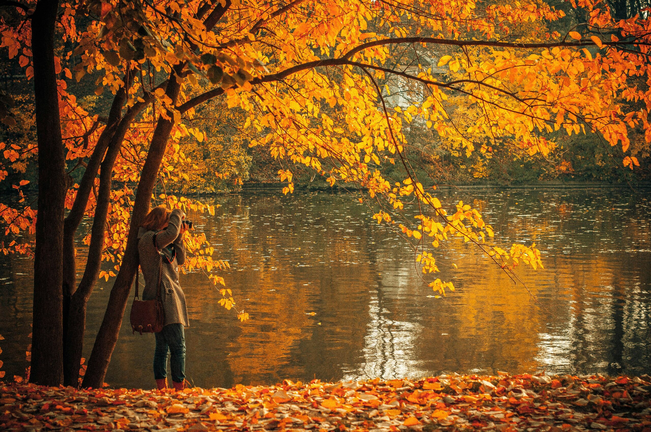 decor de toamna format din copaci cu frunze colorate, un lac si o fata care face fotografii